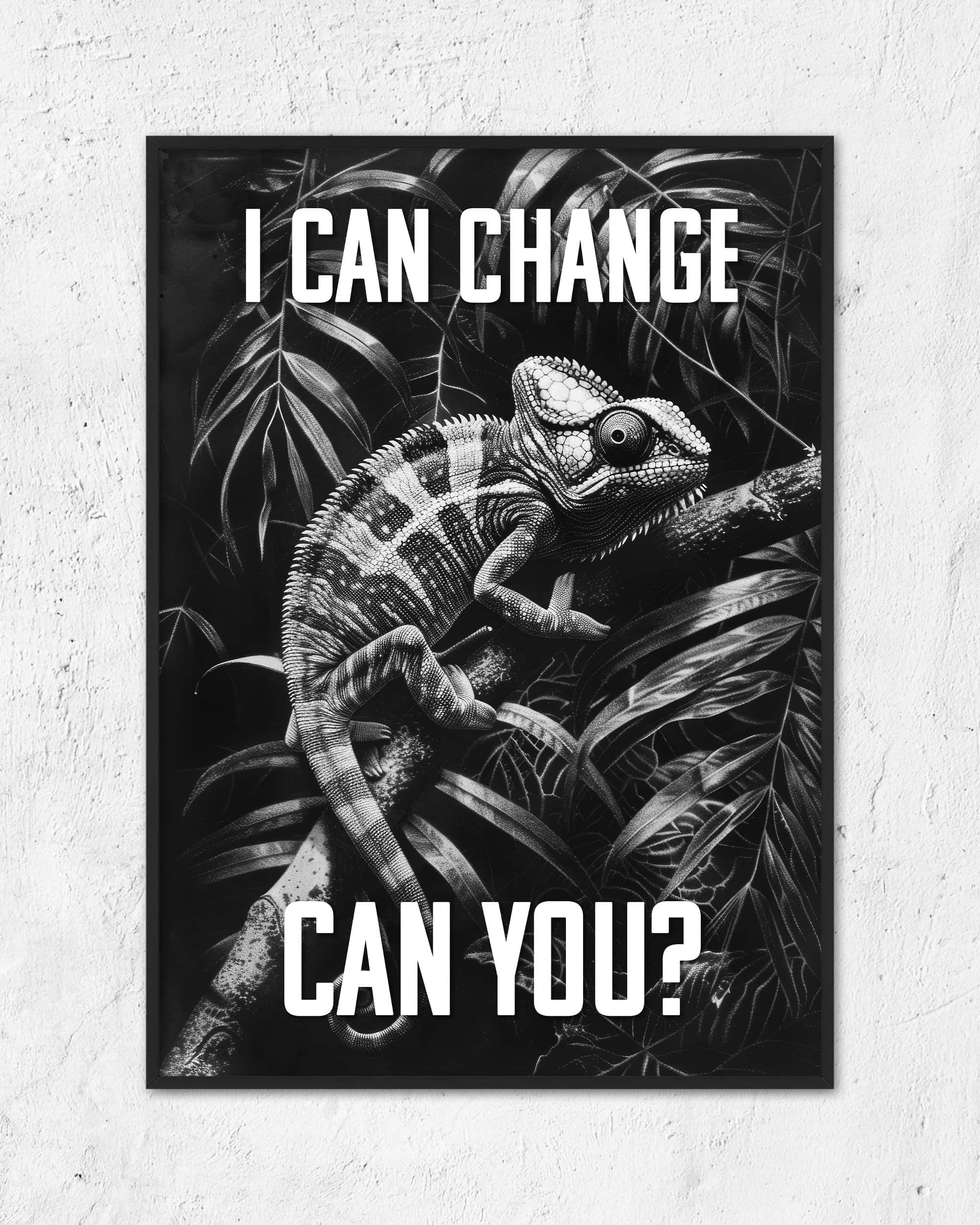 I can change | 3-Type Poster