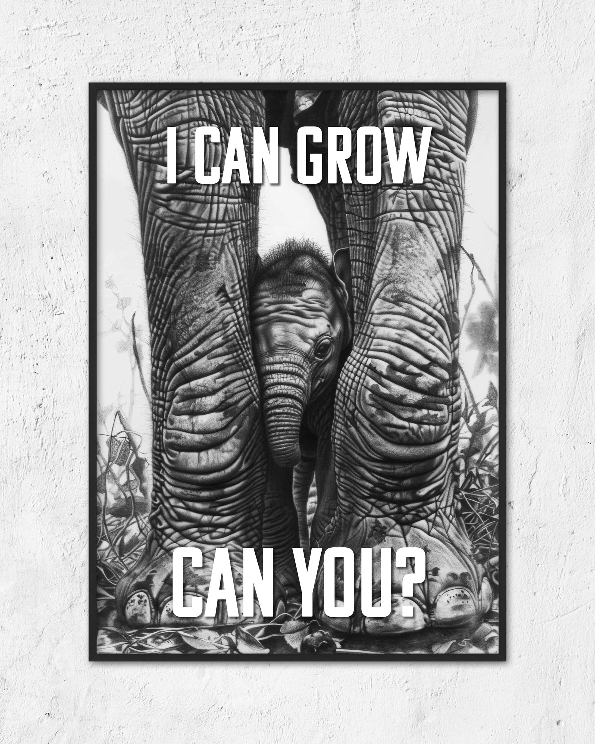 I can grow | 3-Type Poster