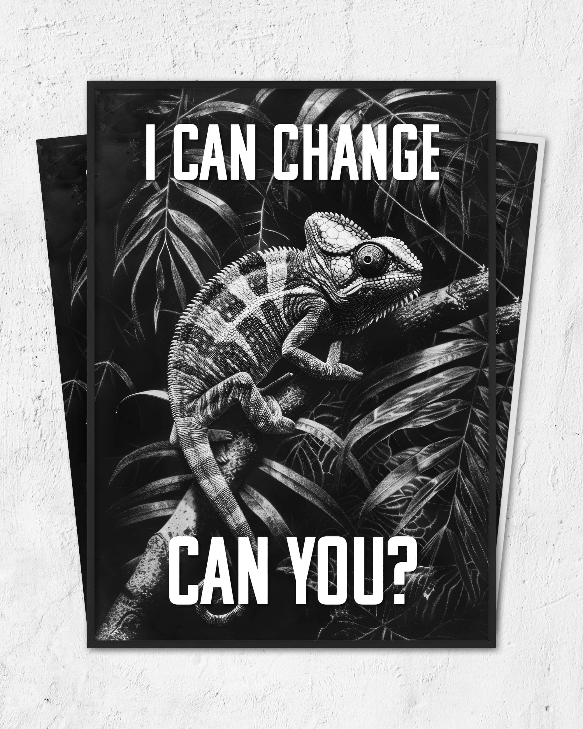 I can change | 3-Type Poster