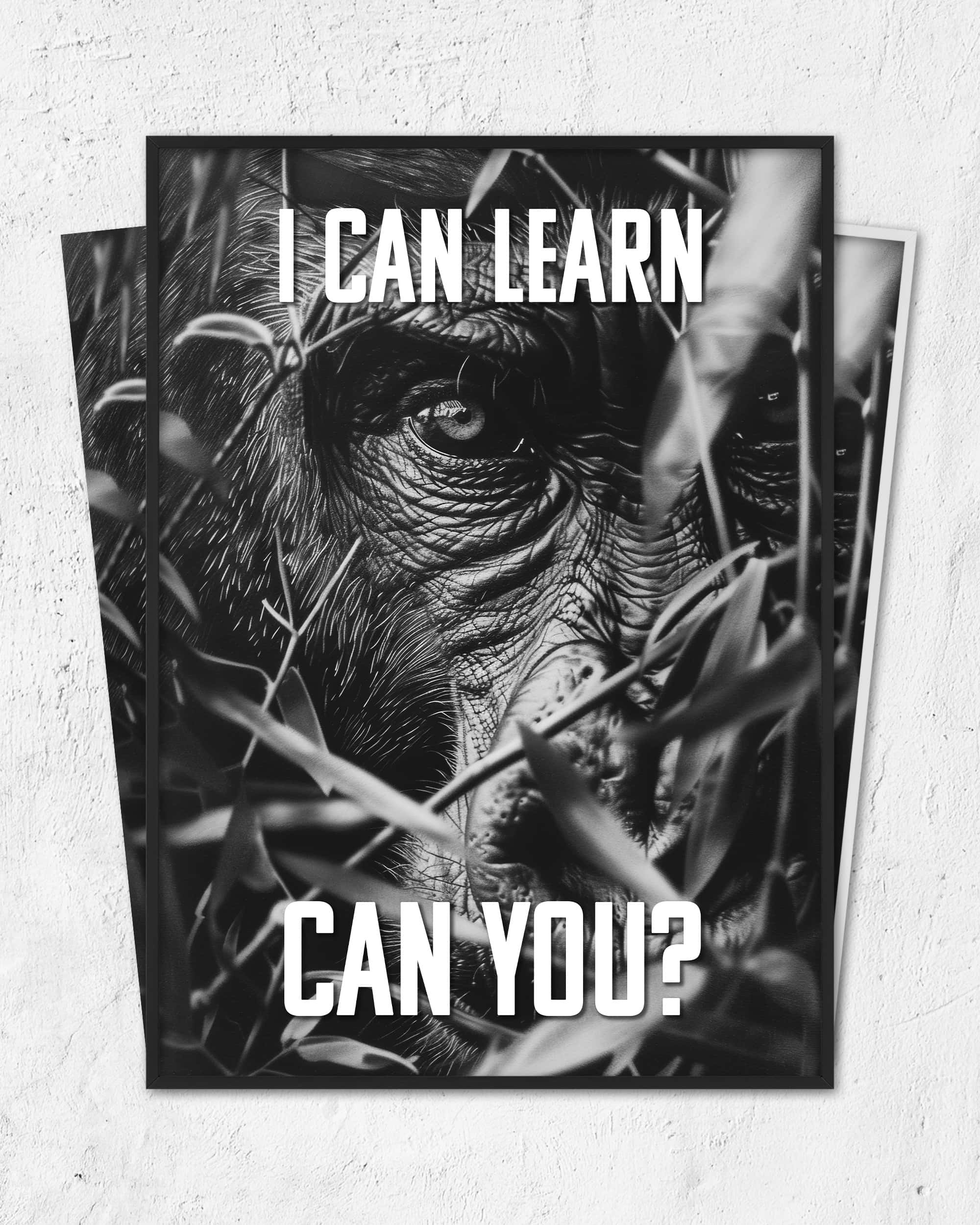 I can learn | 3-Type Poster