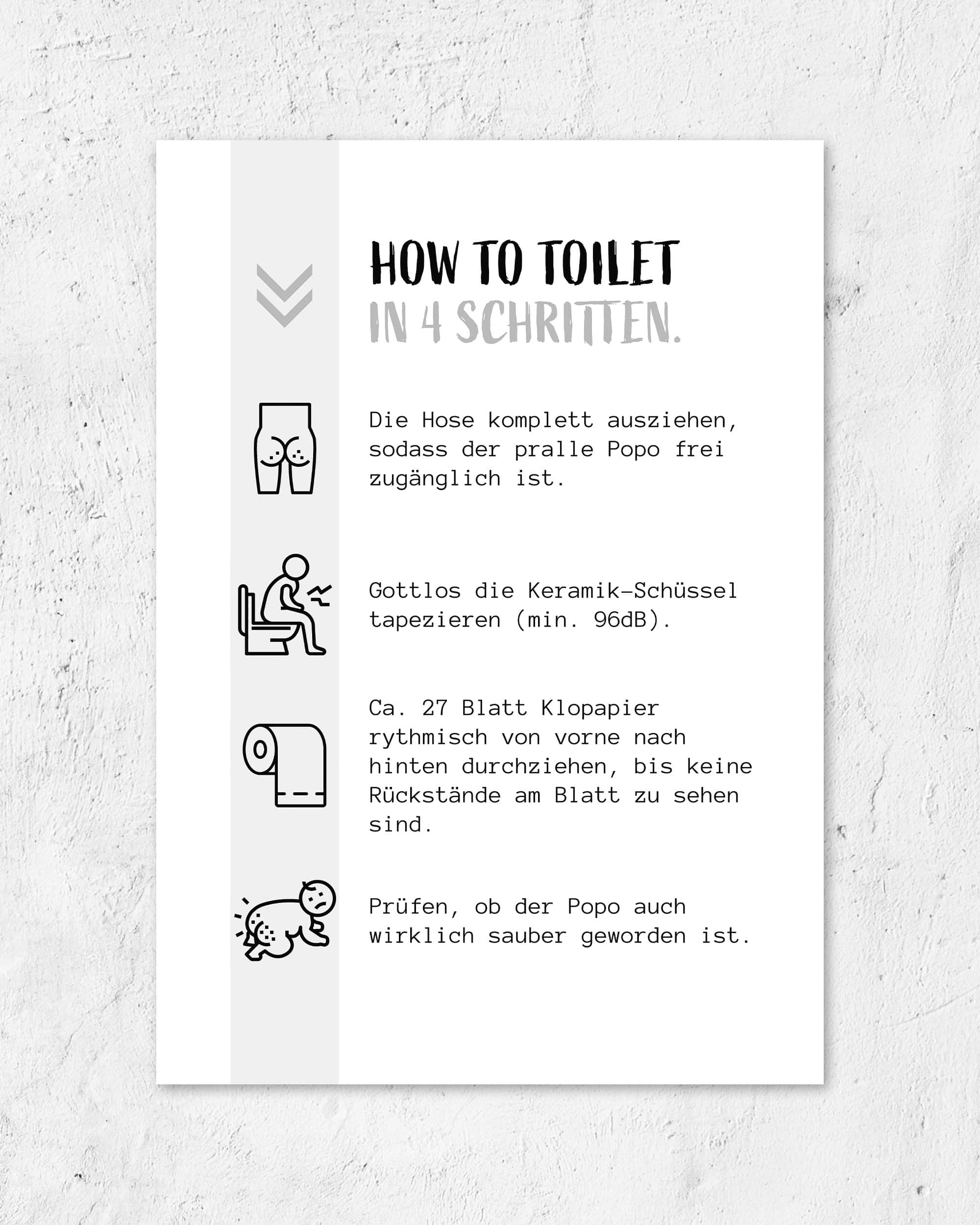 How to Toilet | 3-Type Poster