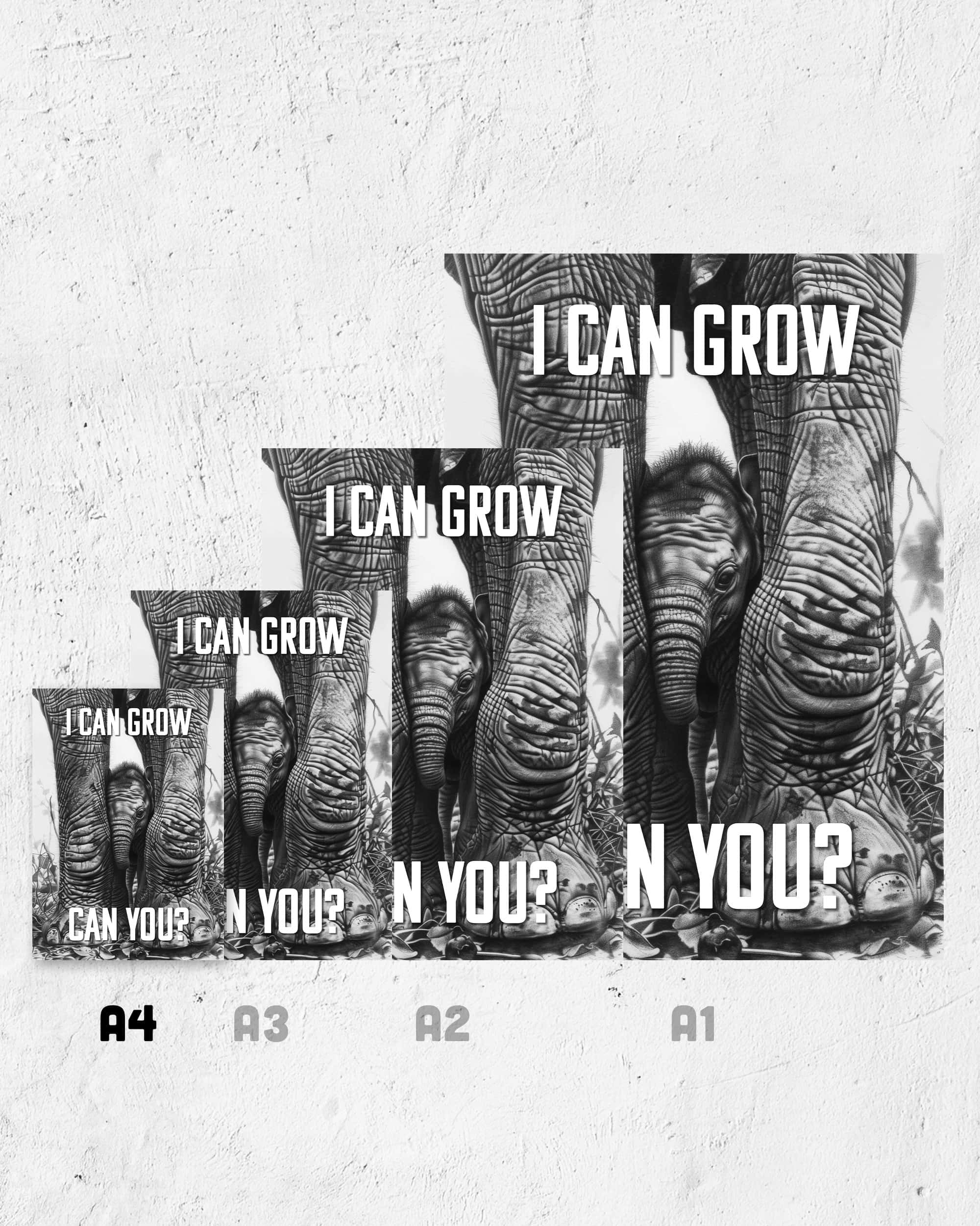 I can grow | 3-Type Poster