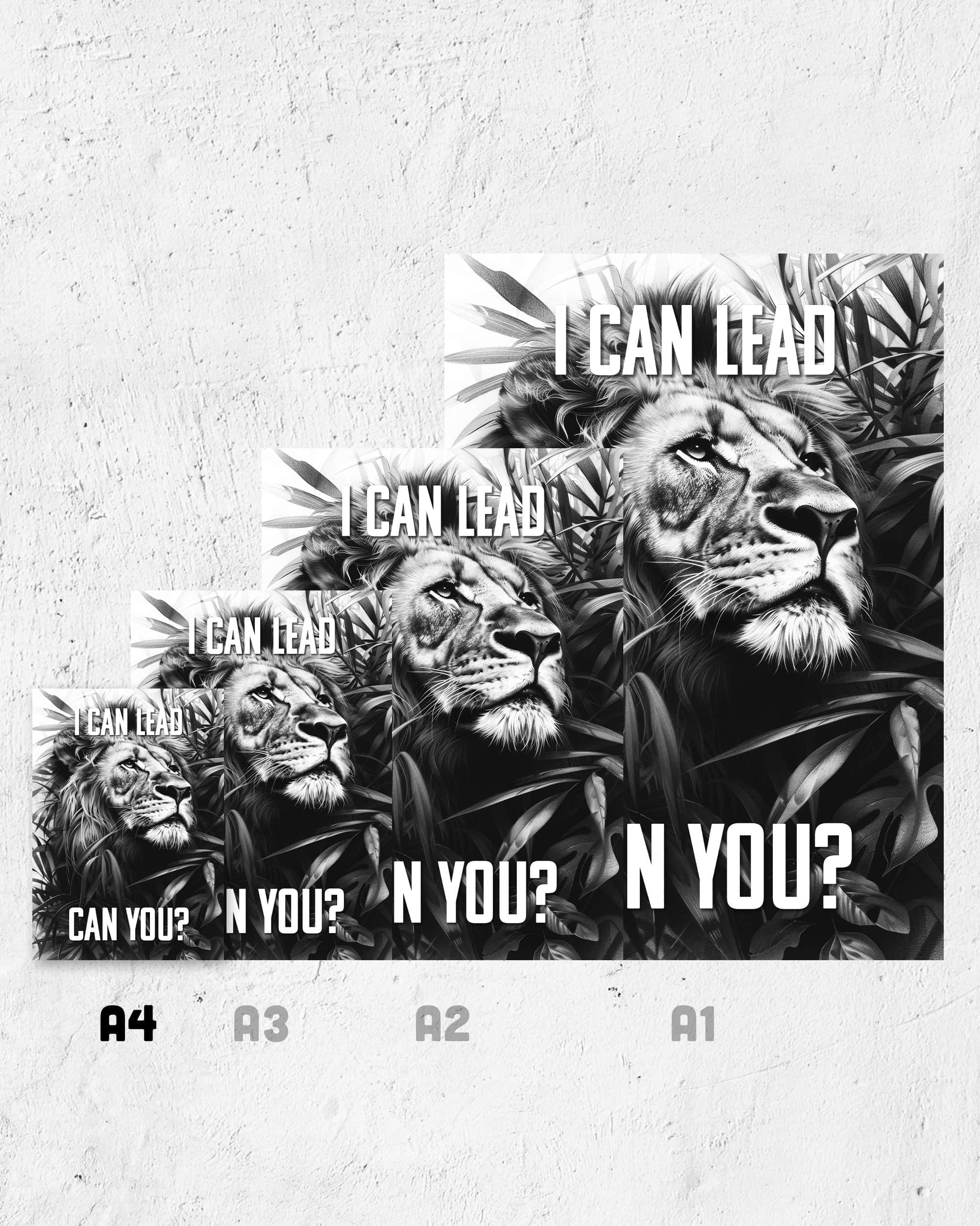 I can lead | 3-Type Poster