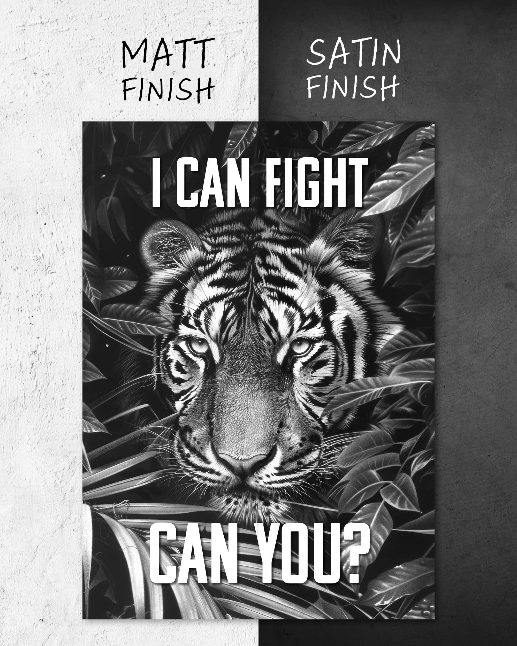 I can fight | 3-Type Poster
