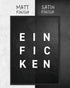 Ein Fic Ken | 3-Type Poster